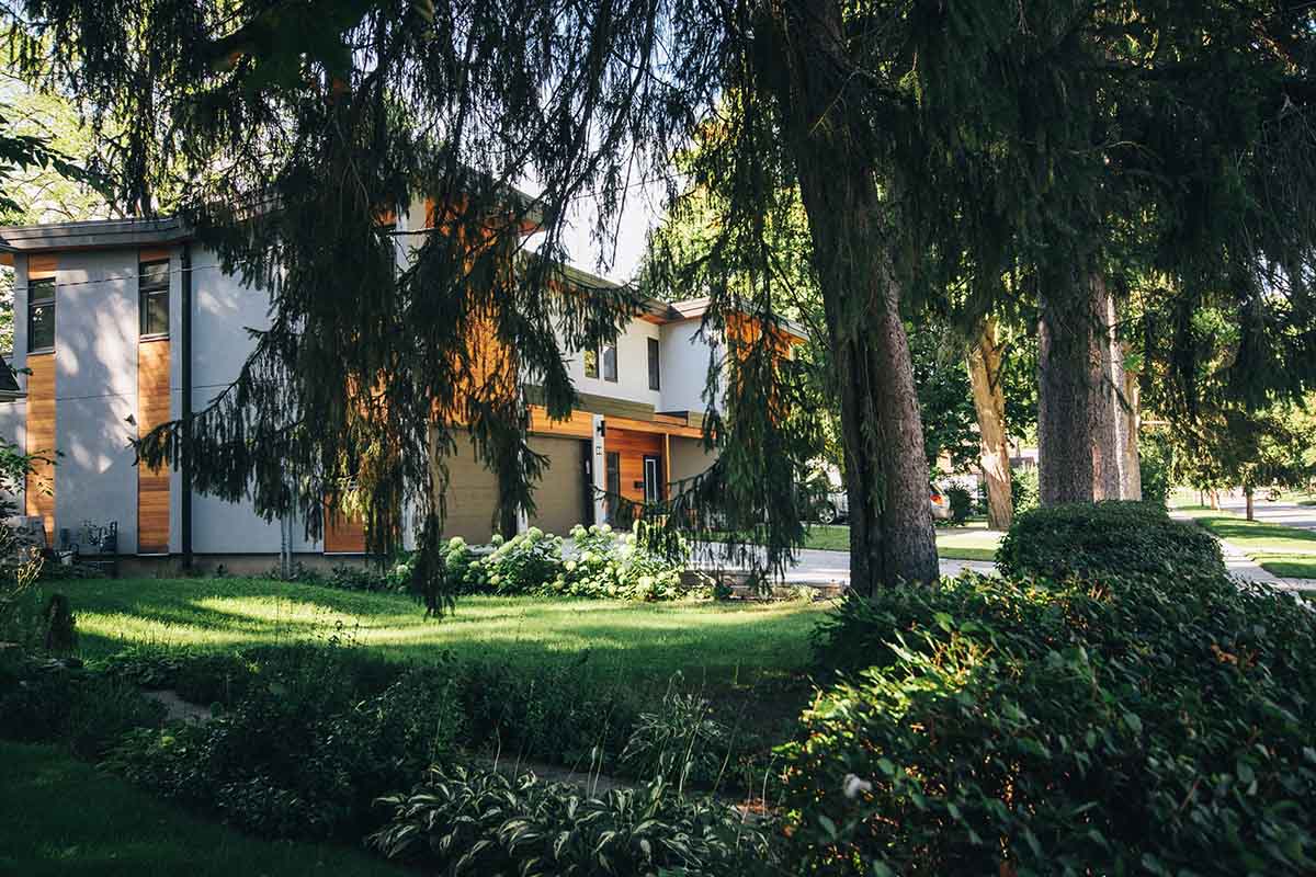 Benefits of Evergreen Trees