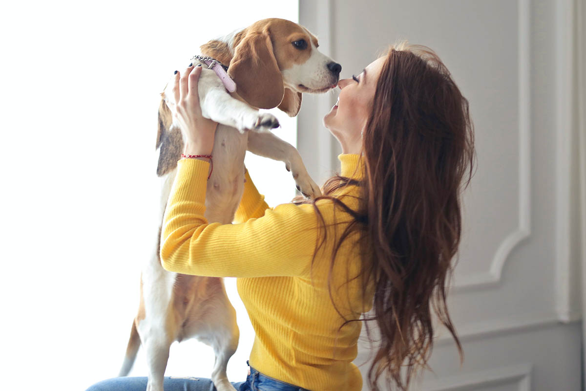 Best Activities to Keep Your Dog Happy