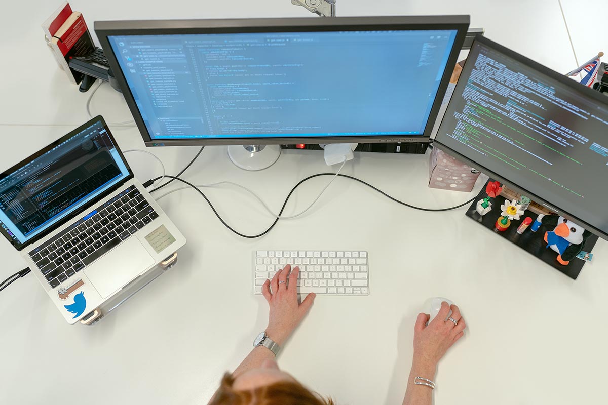 Entity Developer VS Spring Boot