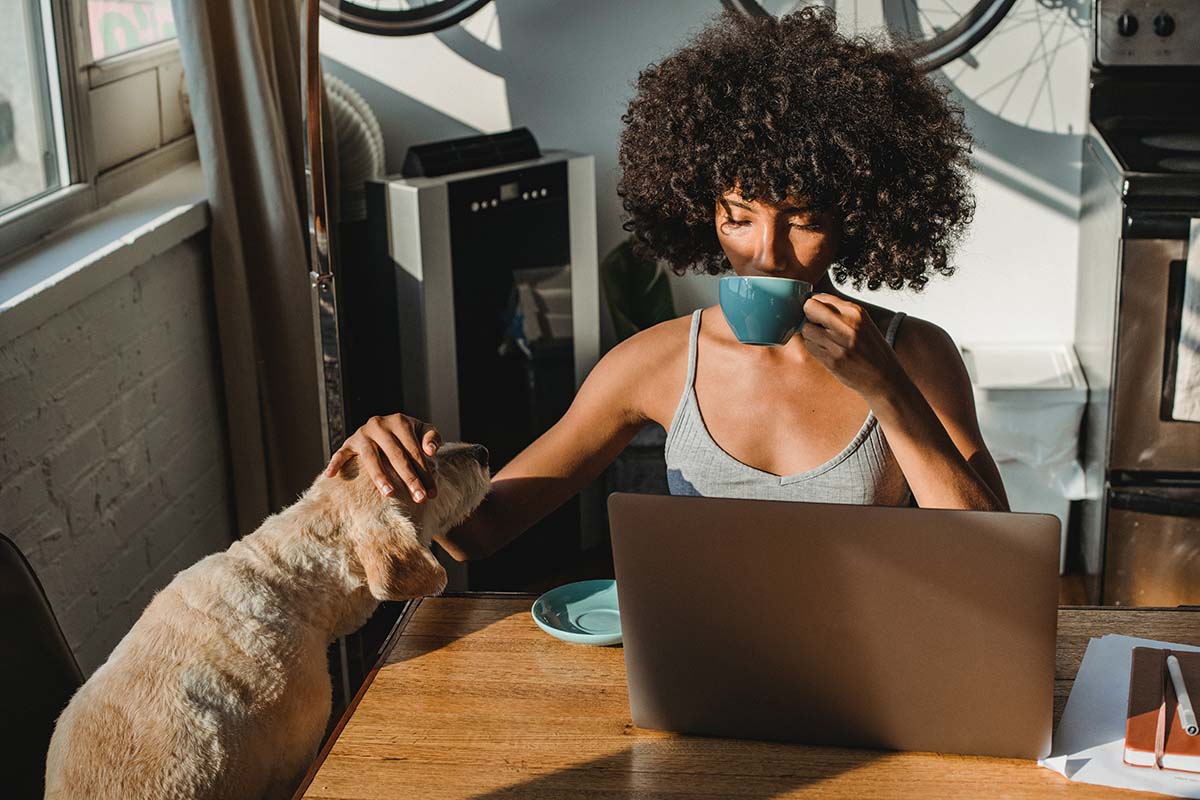 How To Exercise Your Hound When You’re Housebound