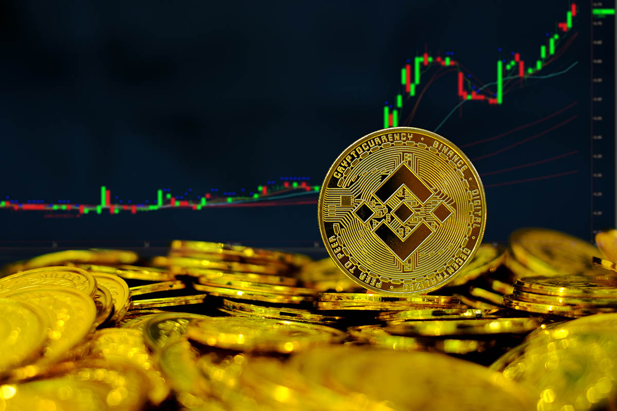 How does the Binance Coin (BNB) function