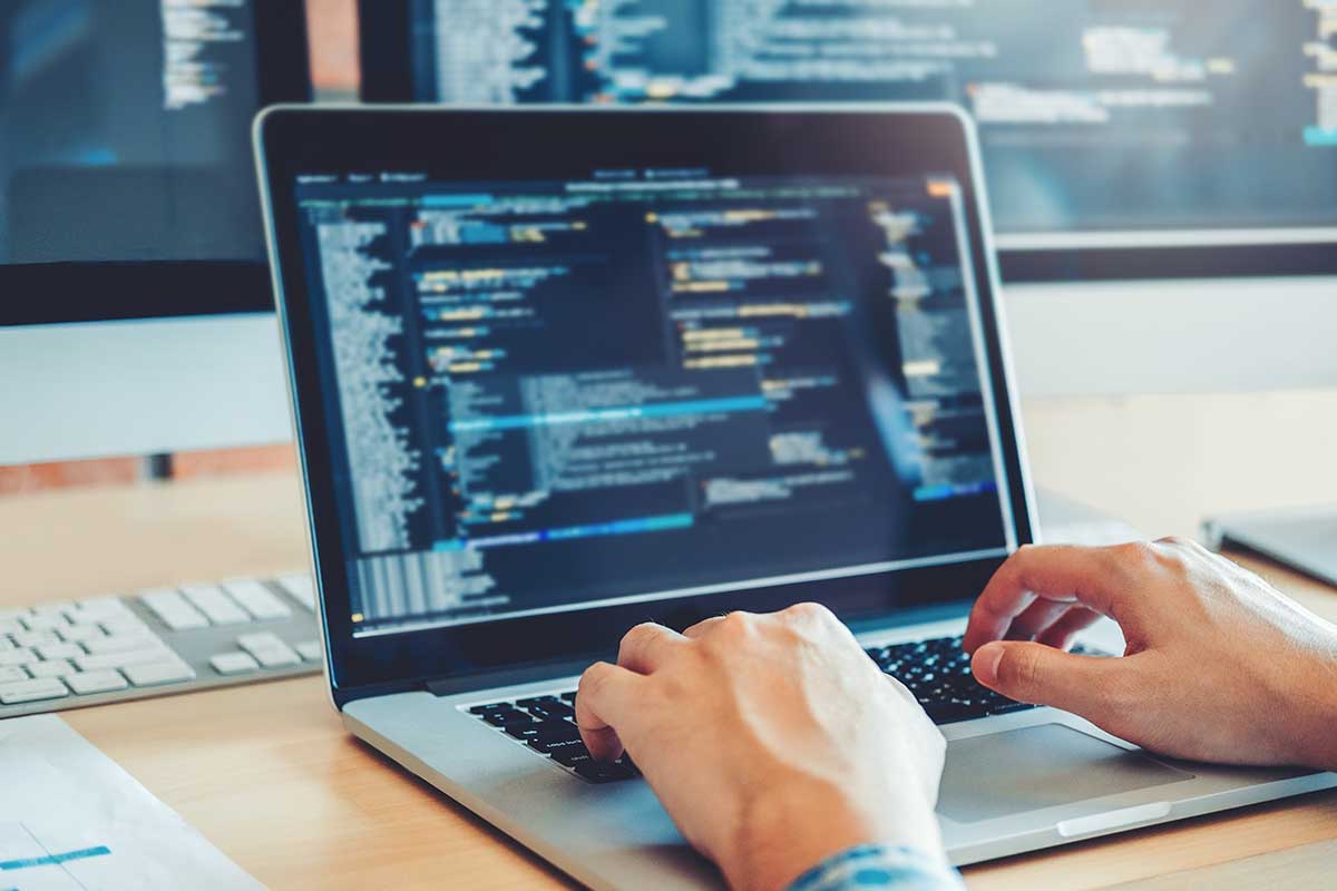 Web Development and Design Services