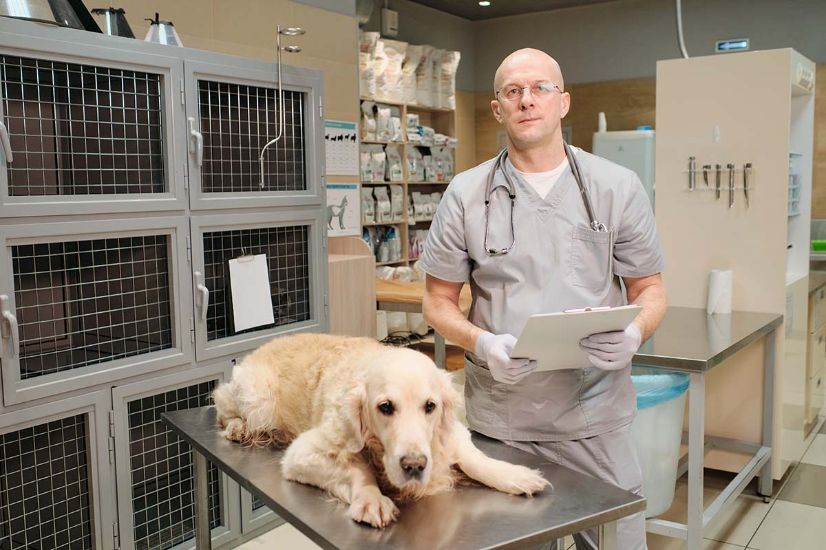 Warning Signs Your Dog Needs to See The Vet Immediately
