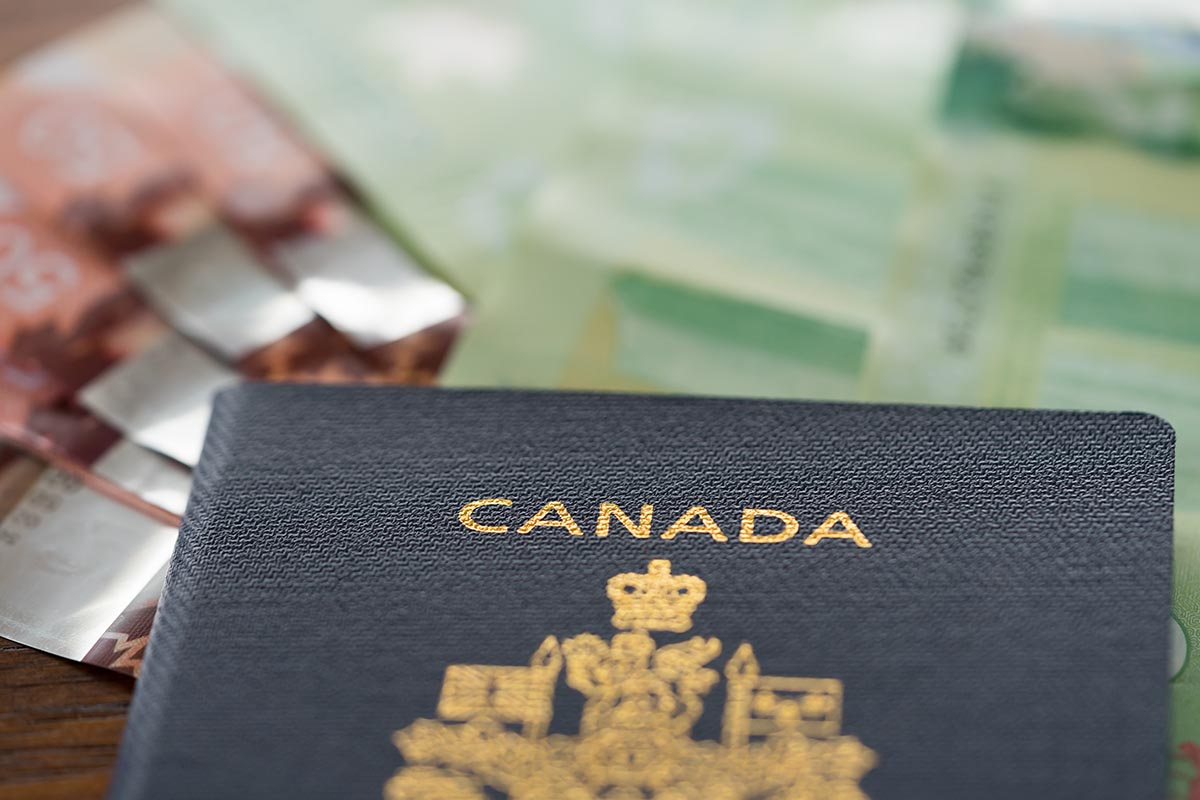 immigration consultant services