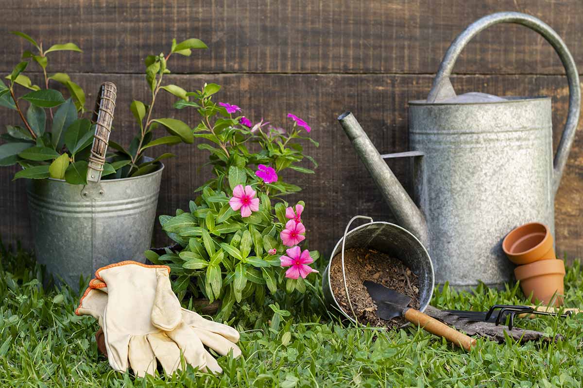 Dolomite Lime Is NOT Just For Your Garden