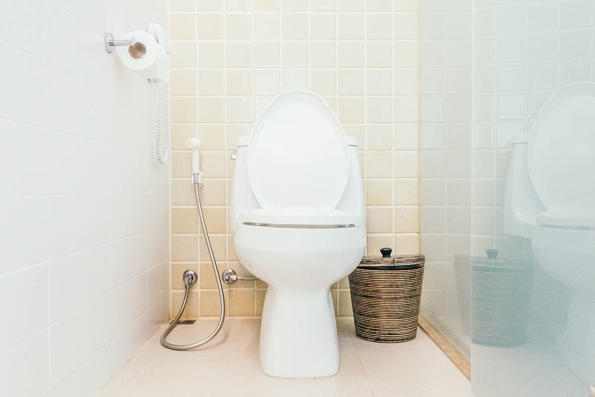 Types of Toilets