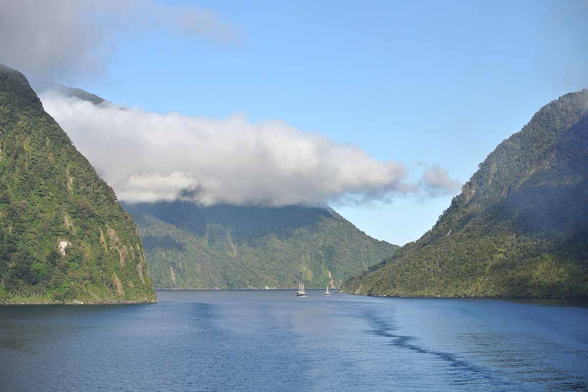 Visit Milford Sound and Take a Scenic Overnight Cruise