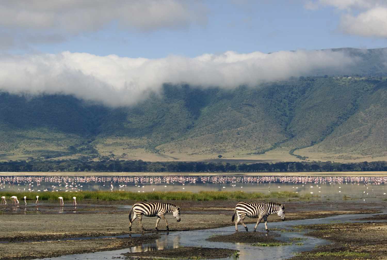 Lake Magadi