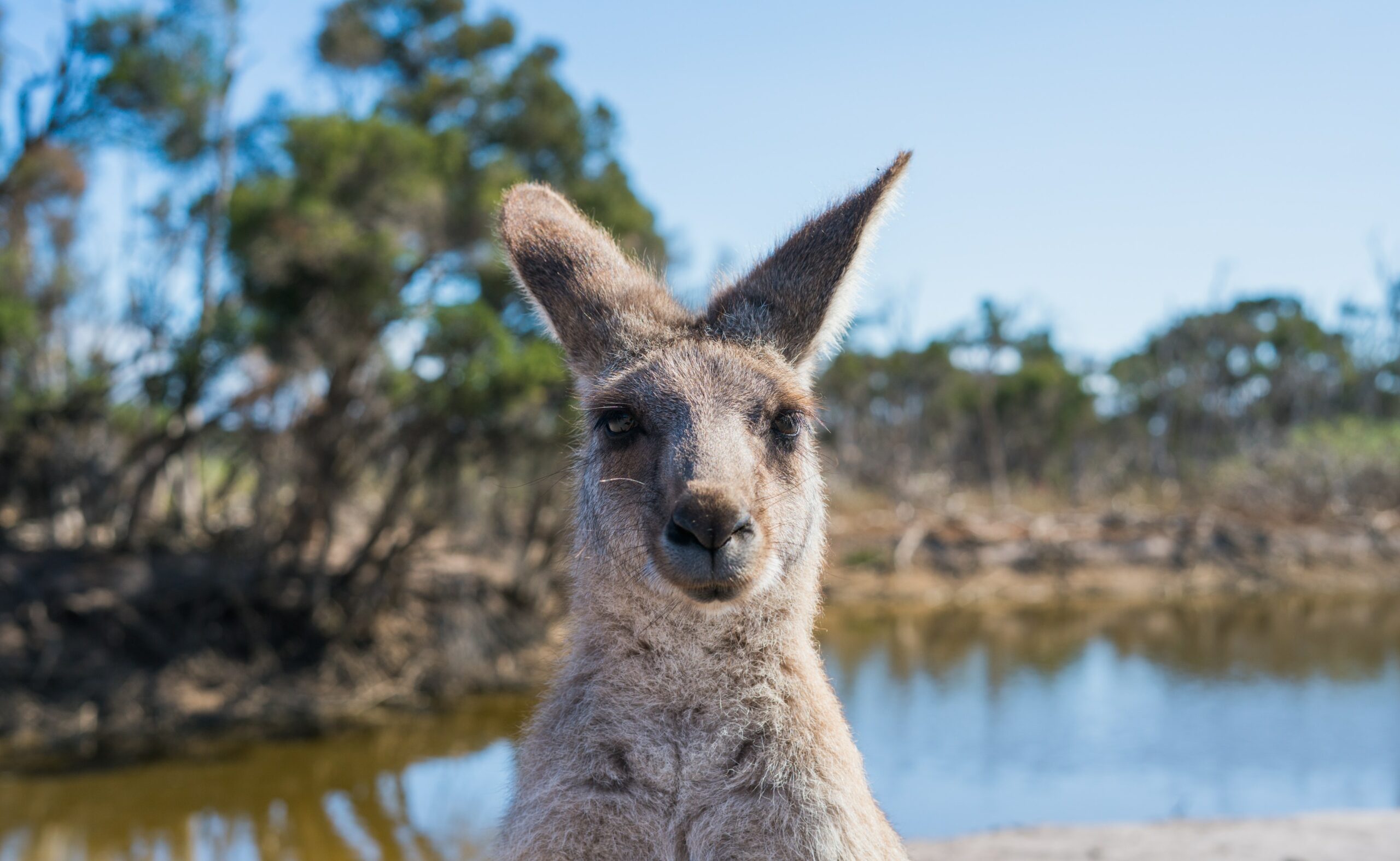 Zoos in Australia