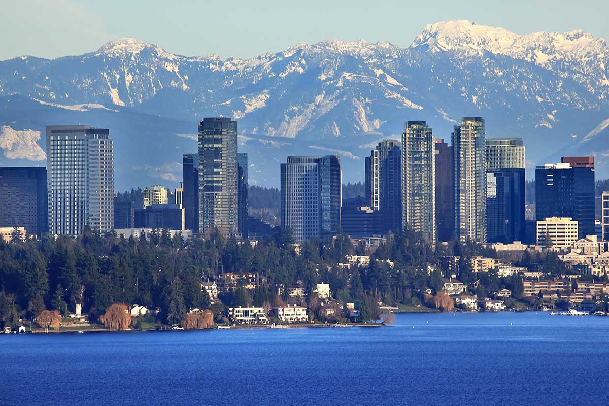 Bellevue managed IT services
