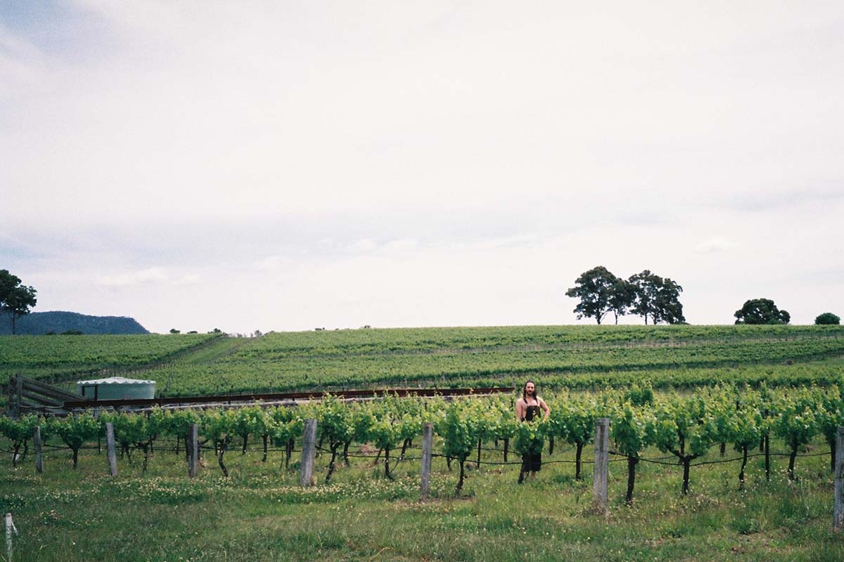 Travelling in NSW 