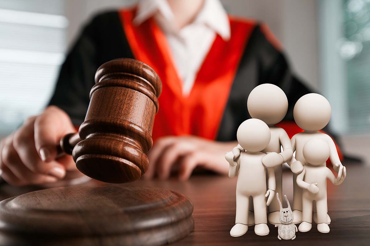 The Role of Family Courts
