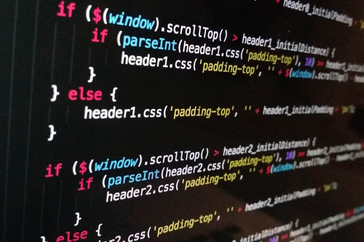 starting first website