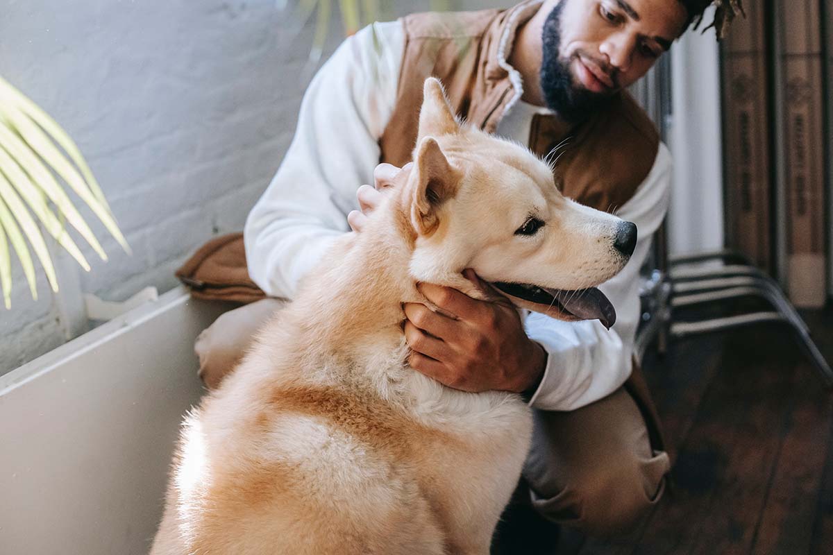 Emotional Bond Between Dog and Human