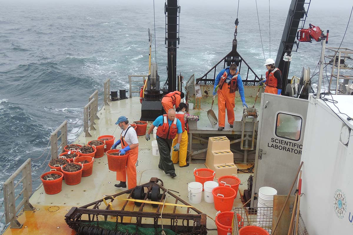 safety in dredging projects