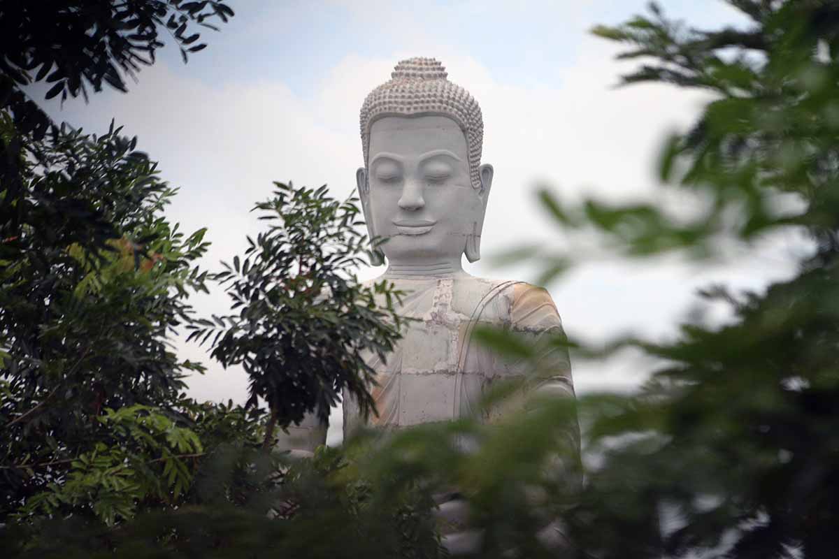 Learn Buddhism reduce stress
