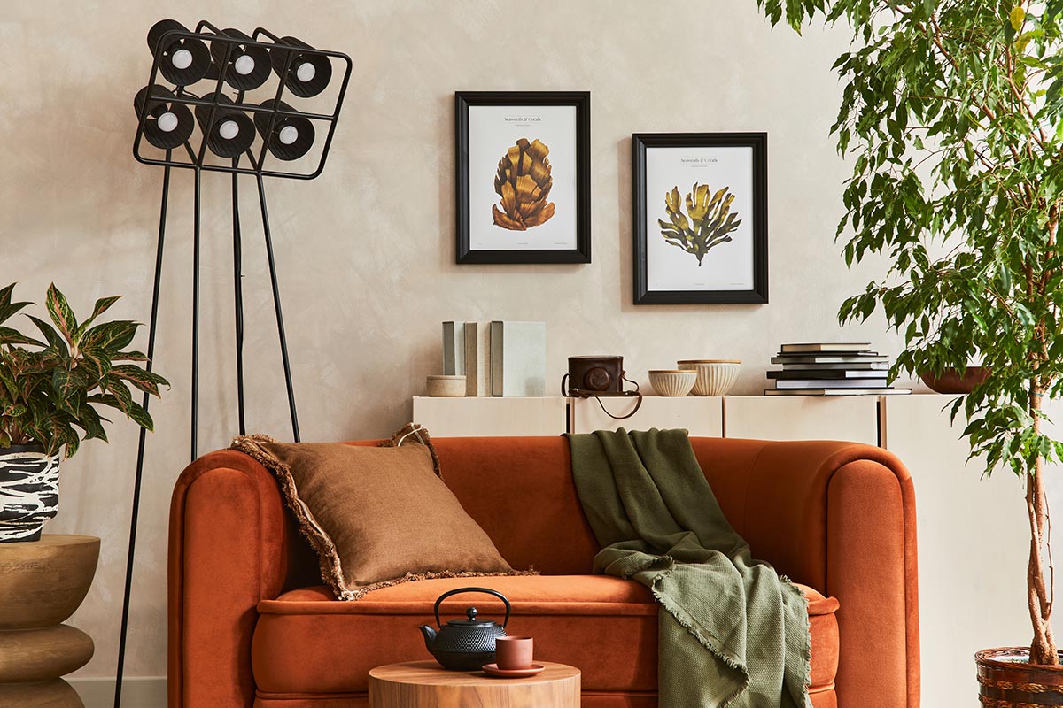 Renter Friendly Décor