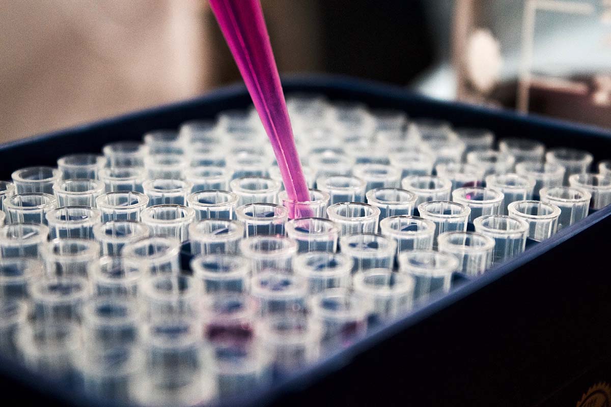 How Can Universities Better Organize Their Research Departments