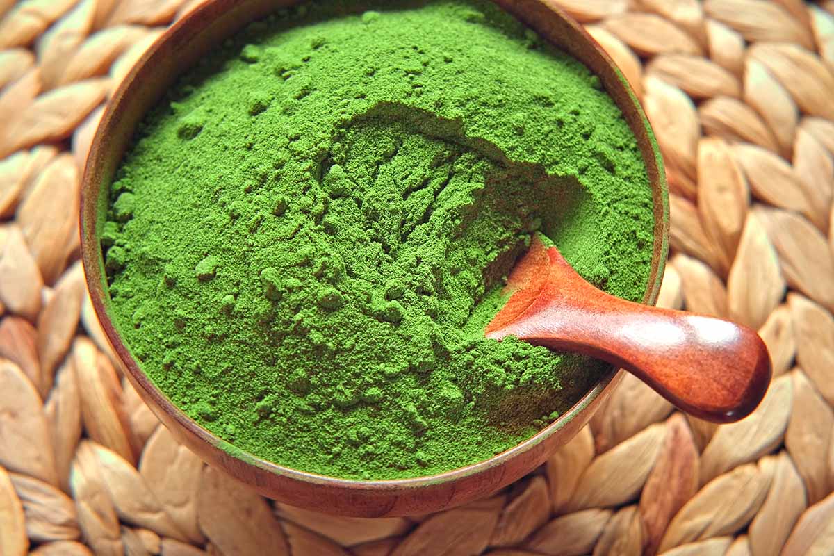 How to Use Kratom for Pain Management and Stress Relief