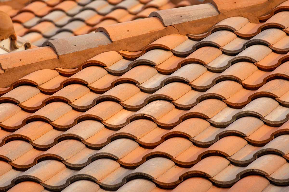 Roof Maintenance