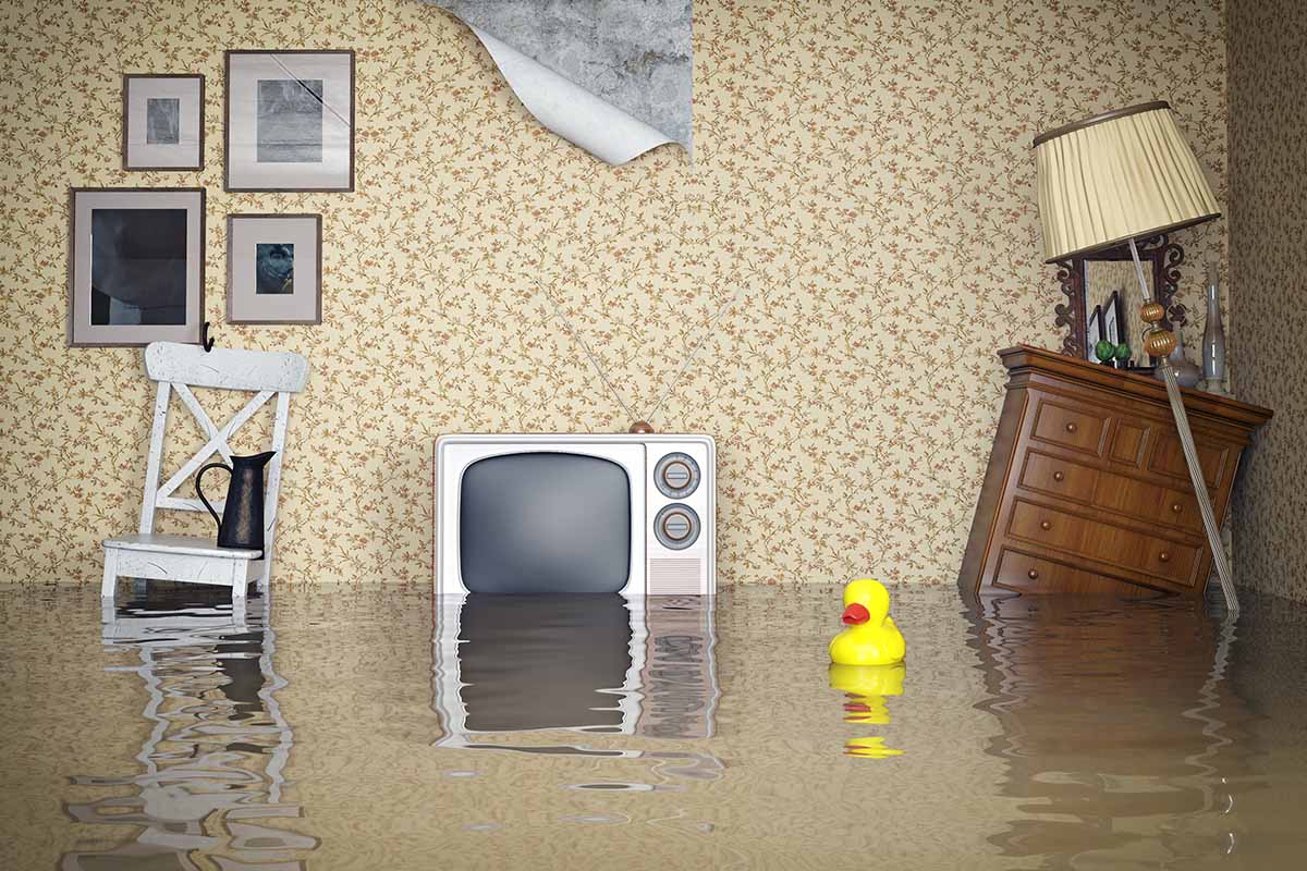 Water Damage Remediation