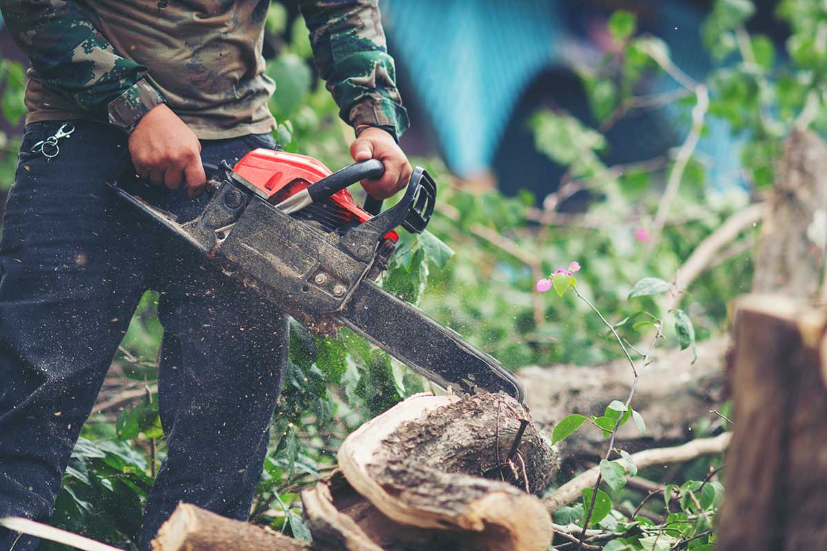 stump removal
