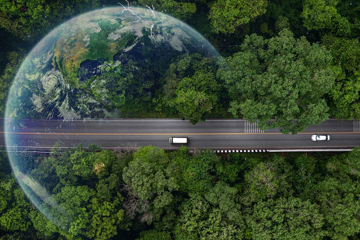 The Environmental Impact of Transportation