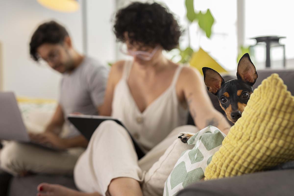 before bringing a pet home