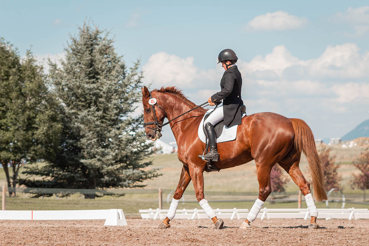 The Joys Of Equestrian Living