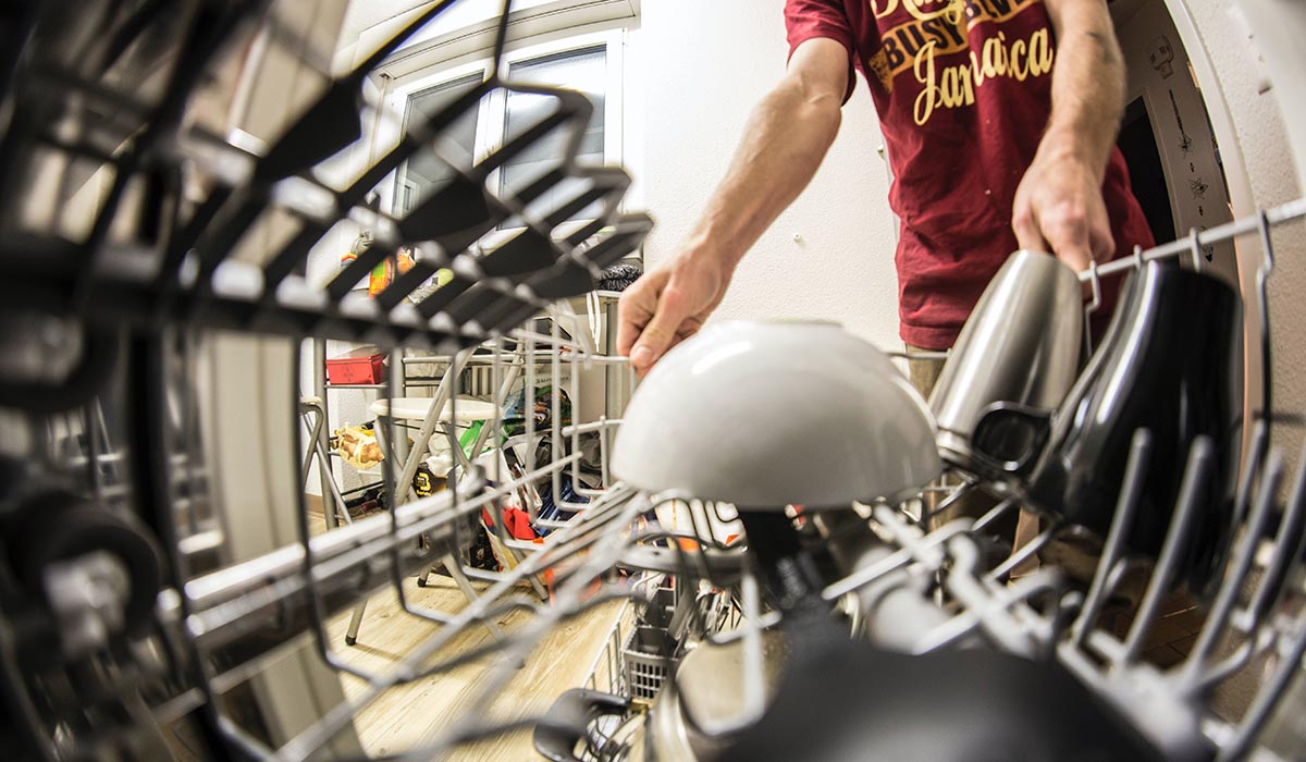 Ants Invading Your Dishwasher