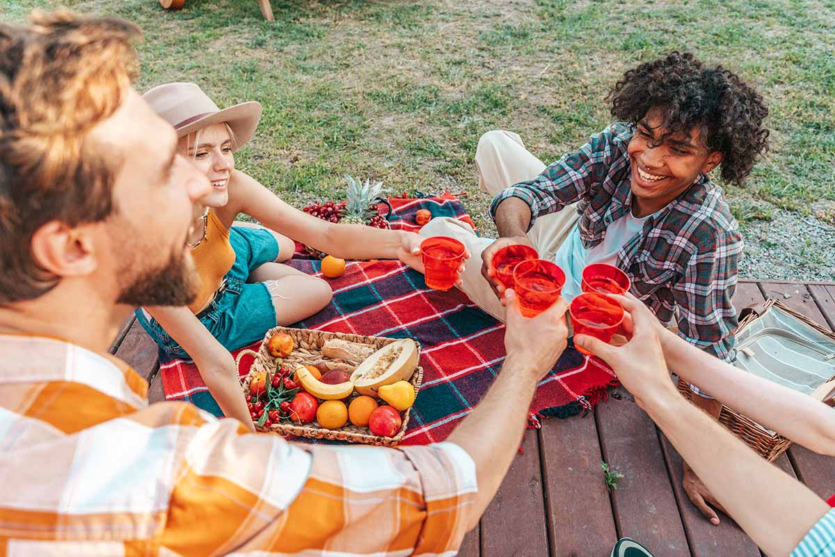 planning a picnic with friends