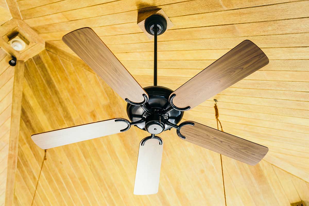 The Hunter Hugger Ceiling Fan A