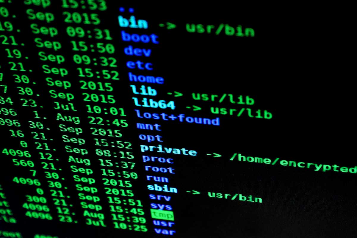 Protecting Your Online Business