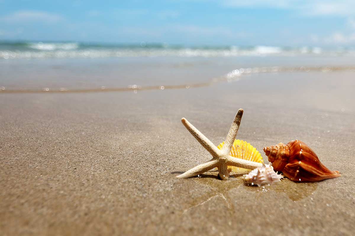 beach day
