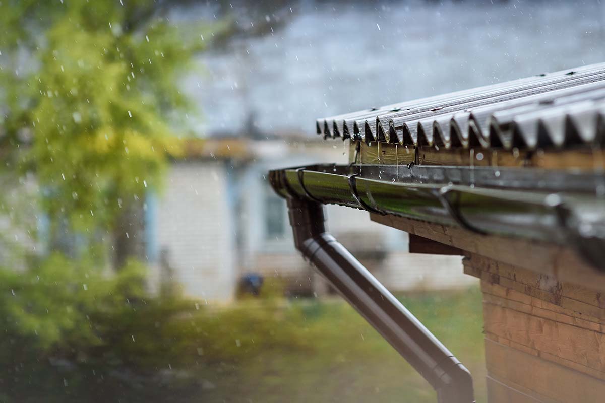 DIY vs. Professional Gutter Cleaning