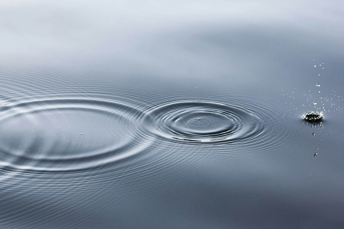 The Ripple Effects of What You Say on the Internet