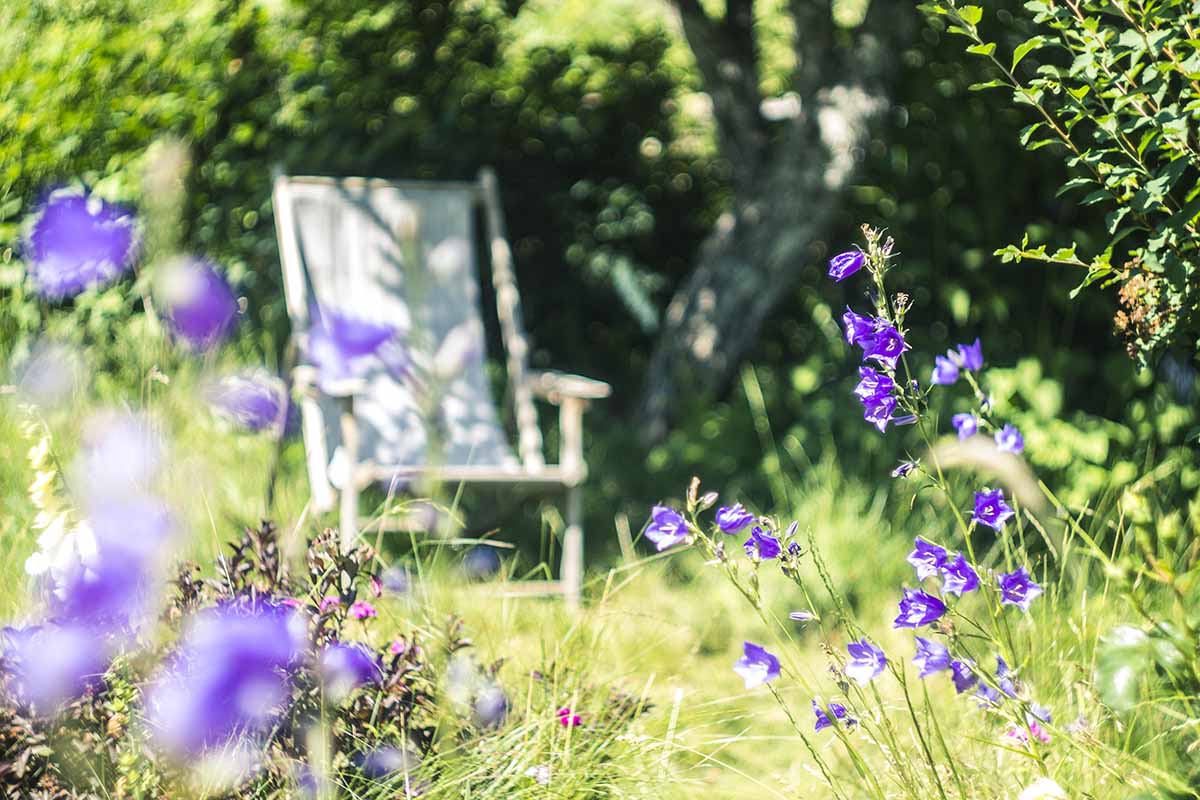 making garden a cool place to spend the summer