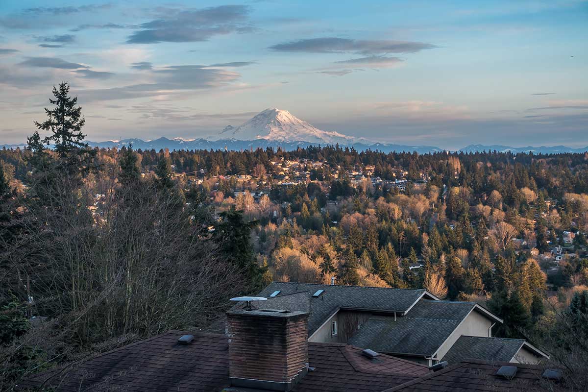 Seasonal Drain Problems in Seattle