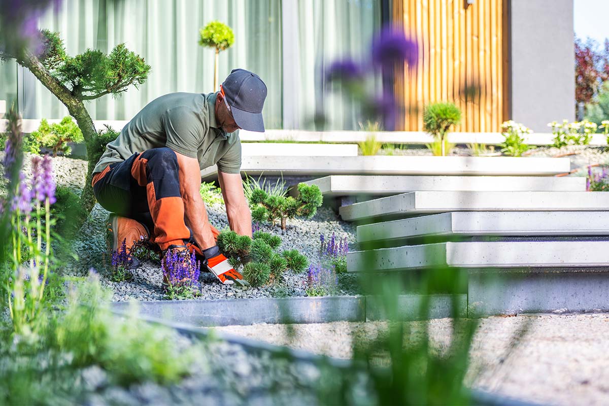 Best Landscapers in Brisbane