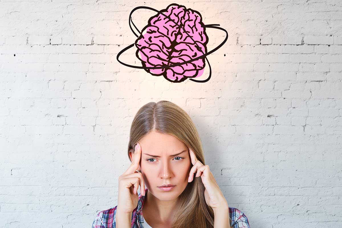 novelty-reward circuitry