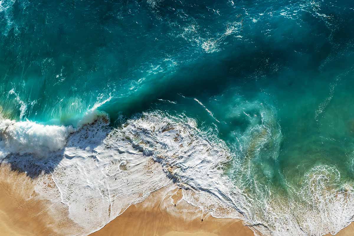 Everyday Actions to Protect Oceans