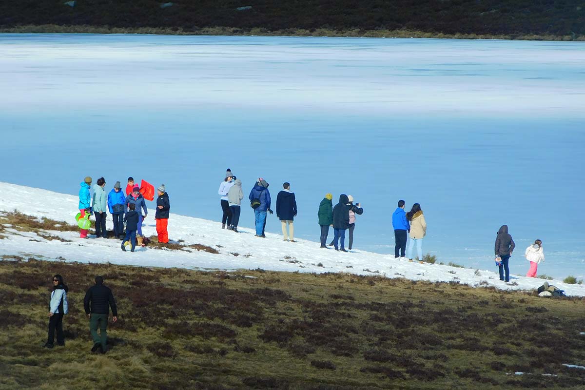 Why Greenland Beckons in 2026