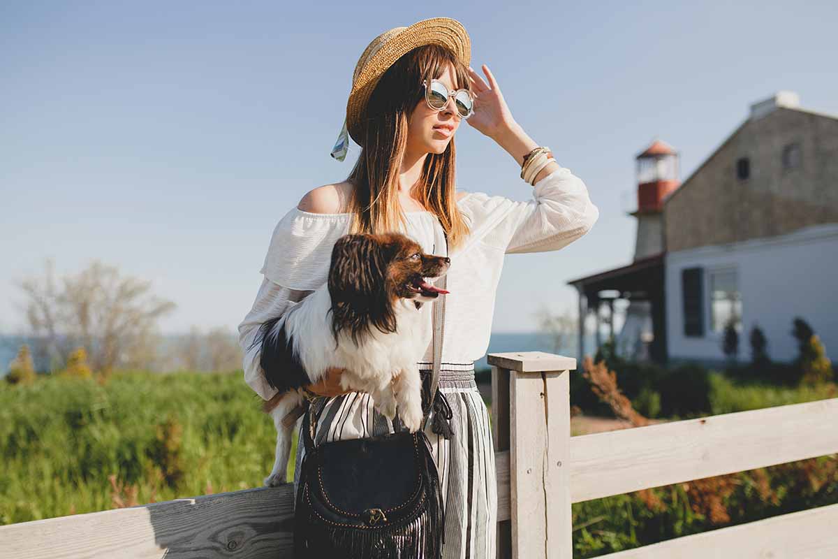 how to keep dog calm during travel