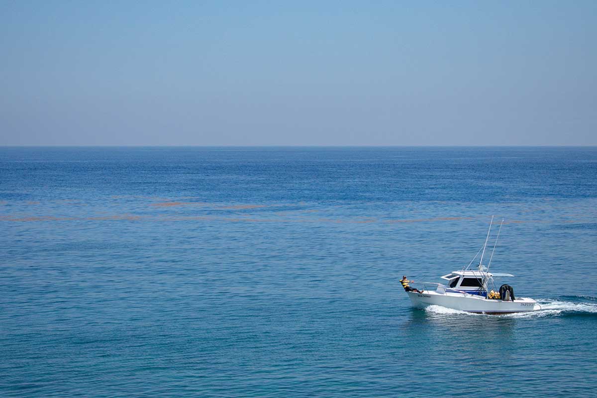 Eco-Friendly Fishing Boats