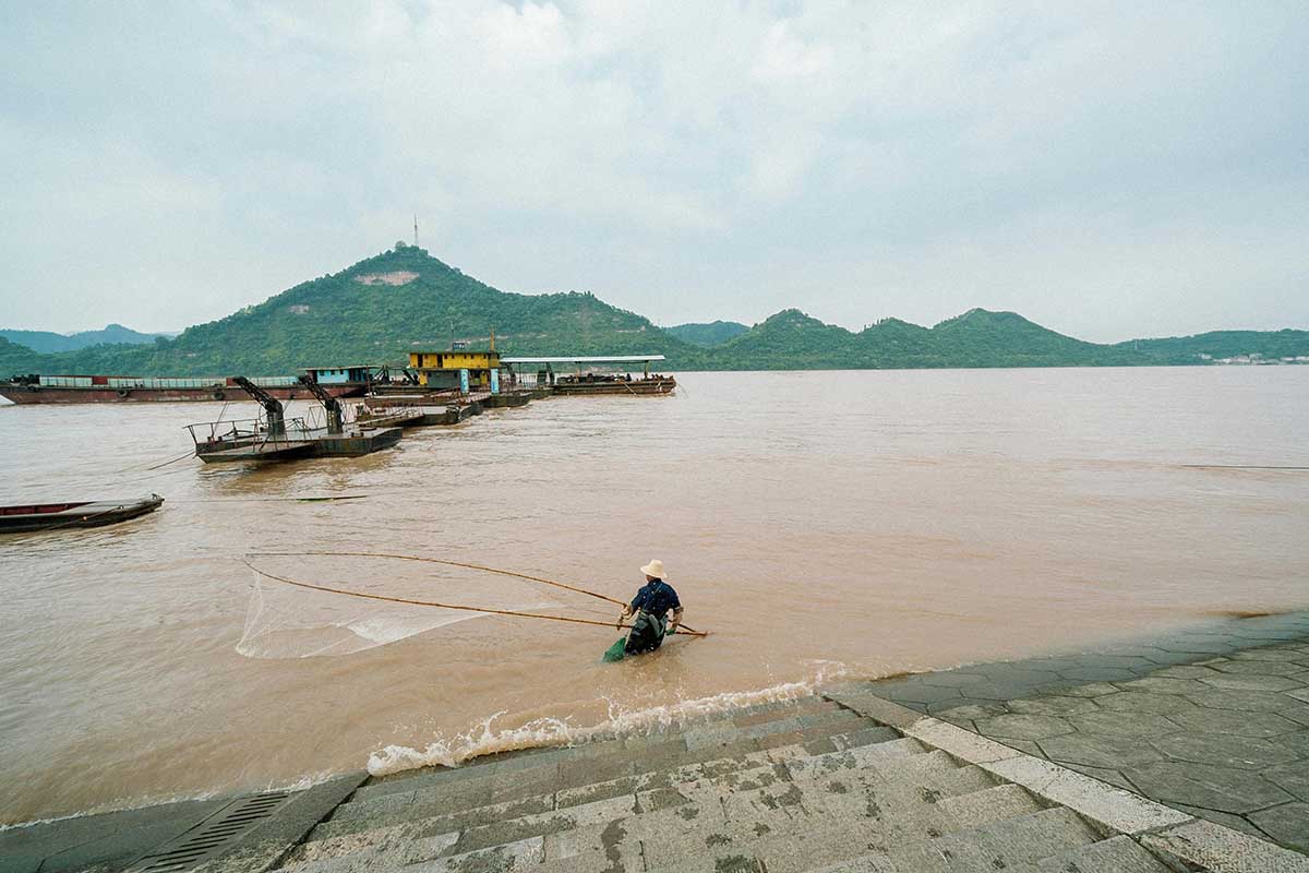The Agricultural Wealth of the Yangtze Basin