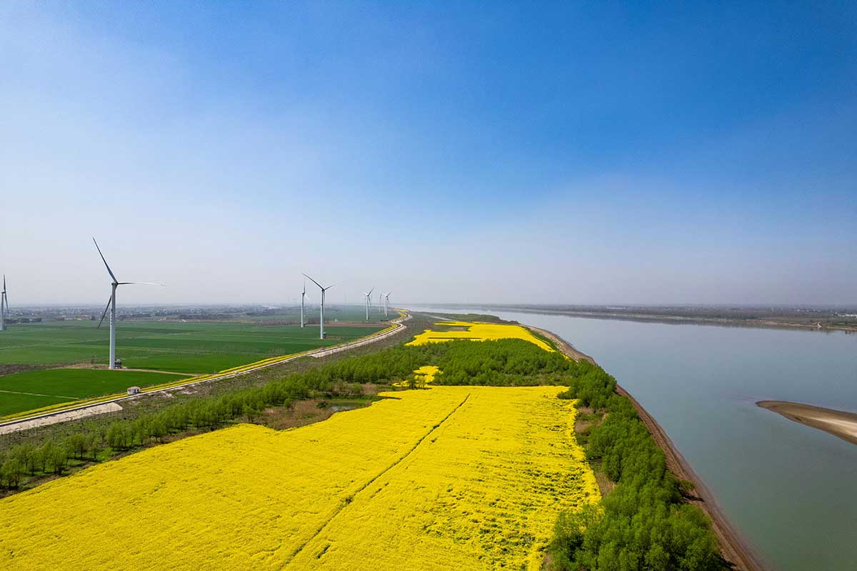 The Cradle of Early Chinese Civilisation