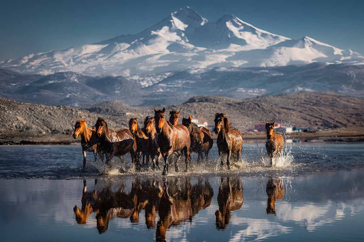 Which Tibet Travel Company Is the Best for International Visitors