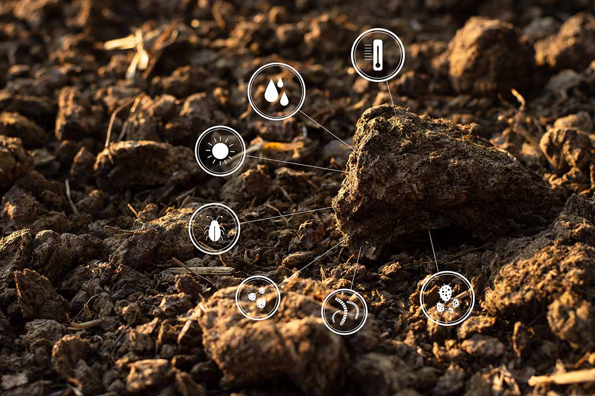 hidden soil contamination