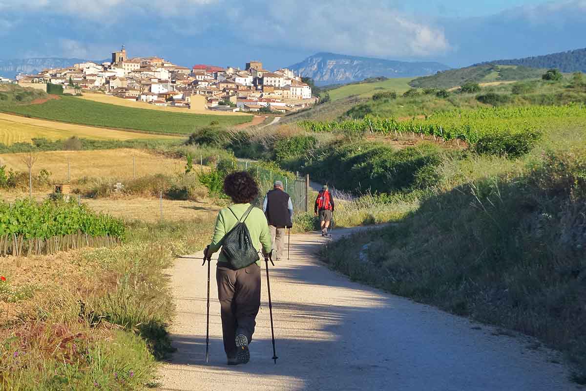 Camino de Santiago With a Dog