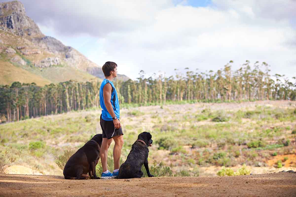 camino de santiago with a dog